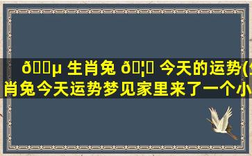 🐵 生肖兔 🦆 今天的运势(生肖兔今天运势梦见家里来了一个小女孩)